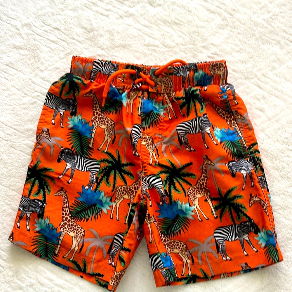 Boys Beach Bro Bathing Suit, Size 7